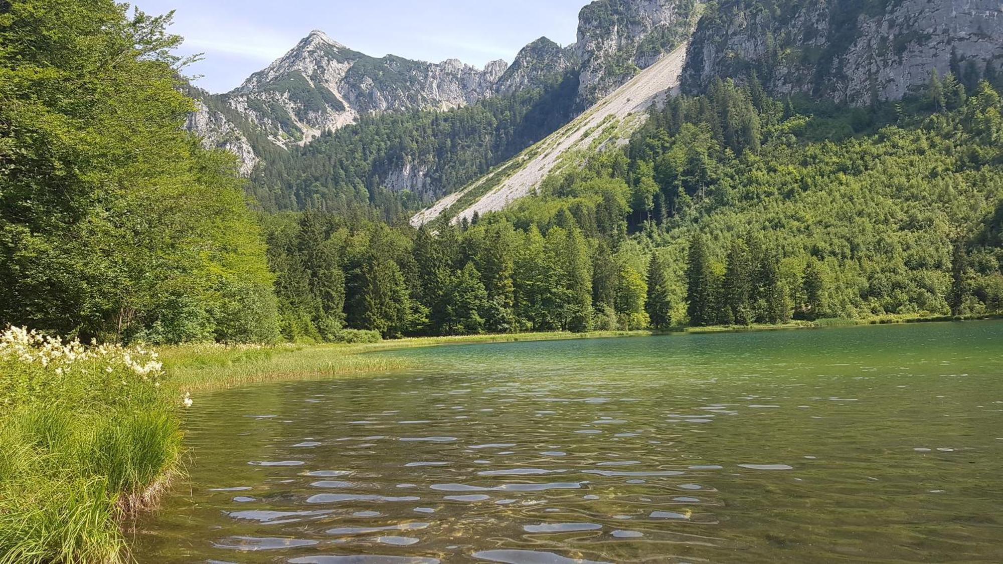 Ferienwohnung Hinterpommern - Chiemgaukarte Inzell Exterior foto